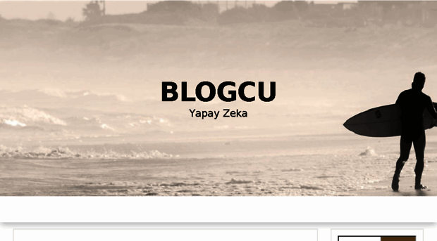 blogcu.yapayzekaa.com