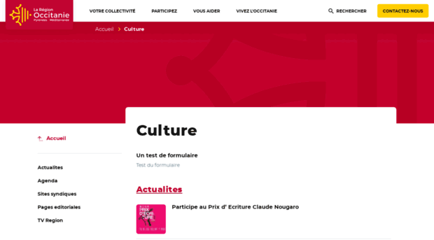 blogculture.midipyrenees.fr