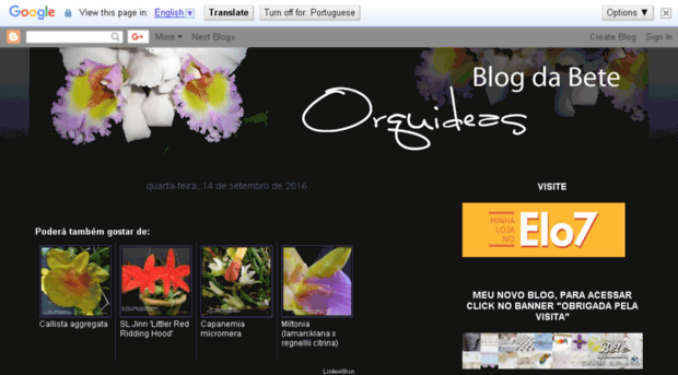 blogdabeteorquideas.blogspot.com.br