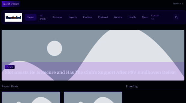 blogechofeed.com
