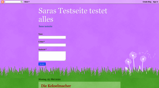 bloggerinsara.blogspot.de