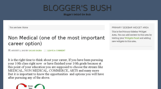 bloggersbush.com