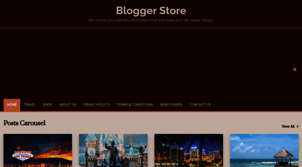 bloggerstores.com