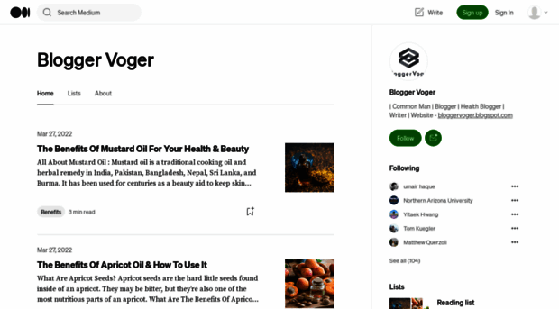 bloggervoger.medium.com