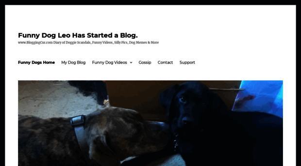 bloggingcur.com