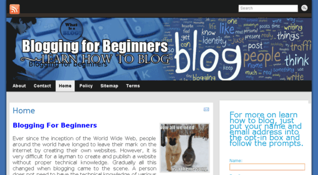 bloggingforbeginnersite.com