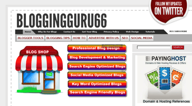 bloggingguru66.in