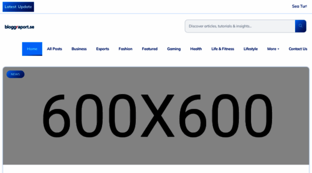 bloggrapport.se