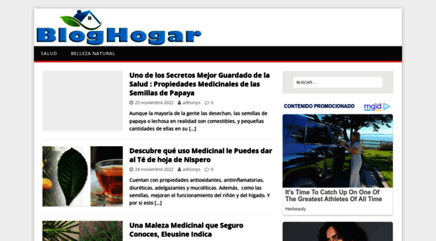 bloghogar.net