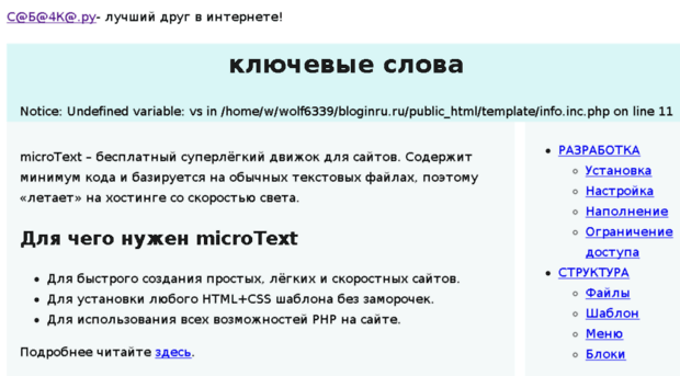 bloginru.ru
