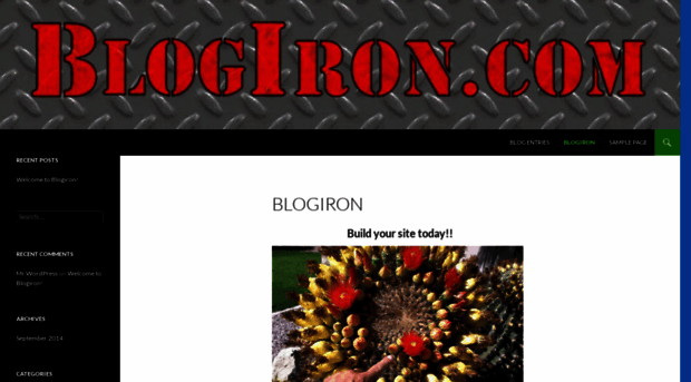 blogiron.com