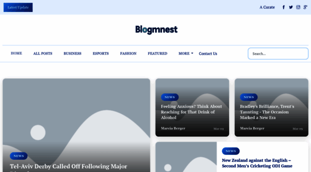 blognestglobal.com