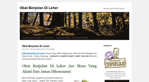 blogobatmaxir4.wordpress.com