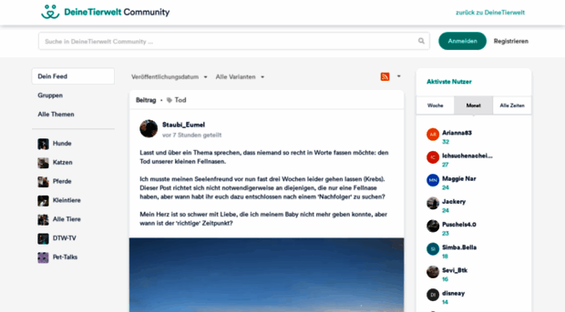 blogs.deine-tierwelt.de