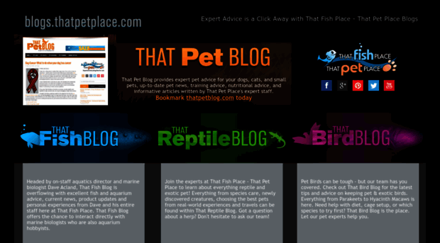 blogs.thatpetplace.com