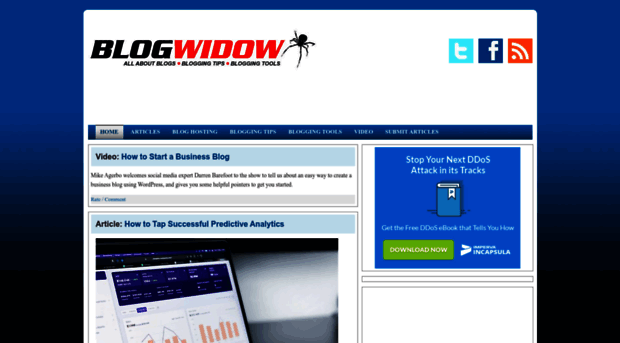 blogwidow.com
