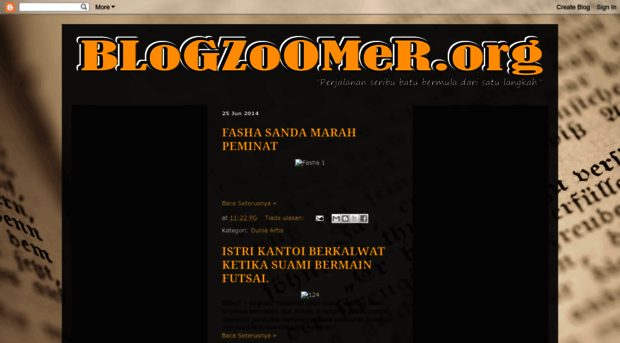 blogzoomer.blogspot.com