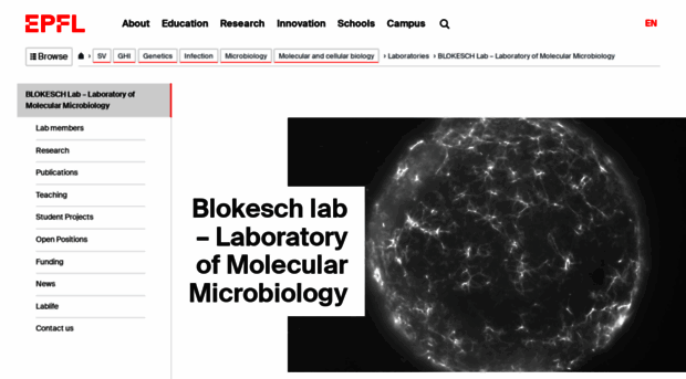 blokesch-lab.epfl.ch