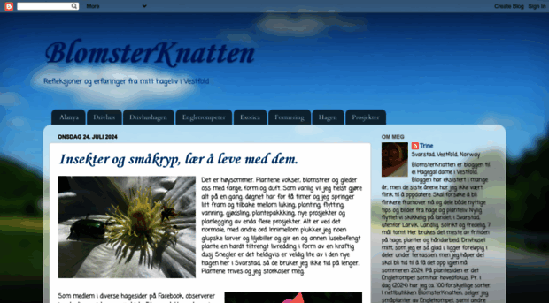blomsterknatten.blogspot.com