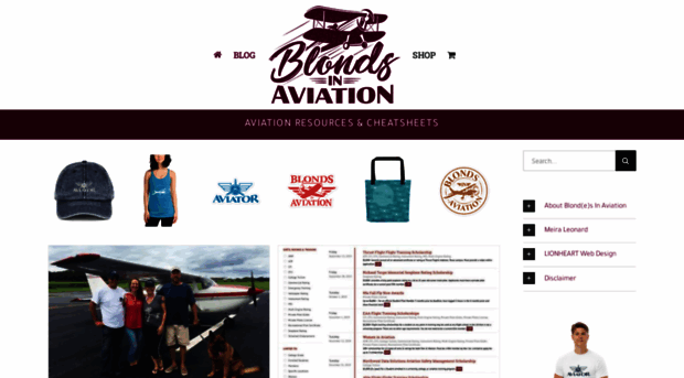 blondsinaviation.com