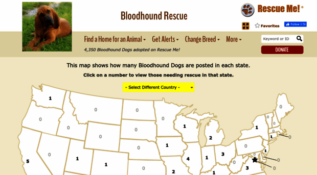 bloodhound.rescueme.org
