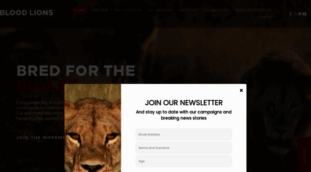 bloodlions.org