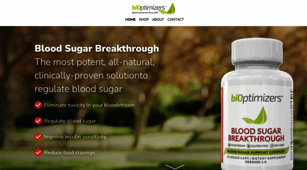 bloodsugarbreakthrough.health