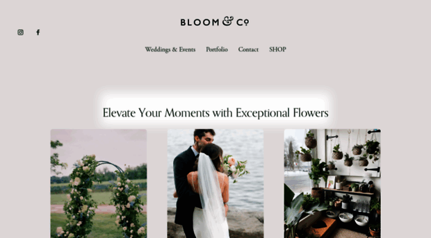 bloomandco.ca