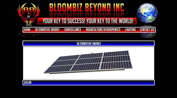 bloombizbeyond.com