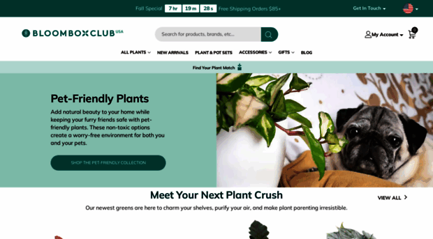 bloomboxusa.com