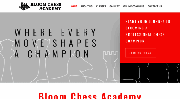 bloomchessacademy.com