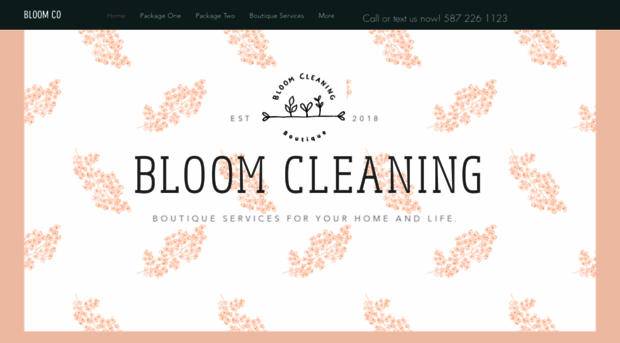 bloomcleaningboutique.com