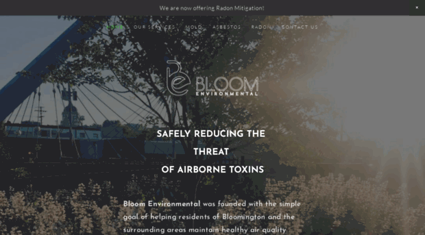 bloomenvironmental.com