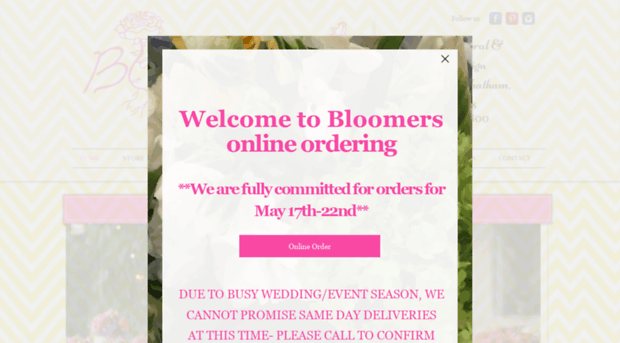 bloomersdesigns.com