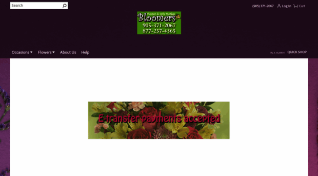 bloomersniagara.com