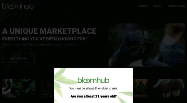 bloomhub.com