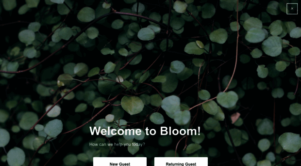 bloominarlington.com