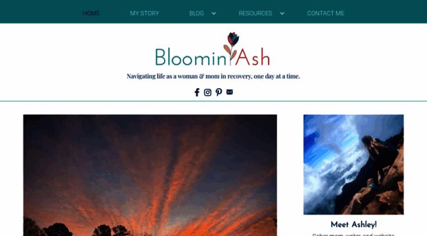 bloominash.com