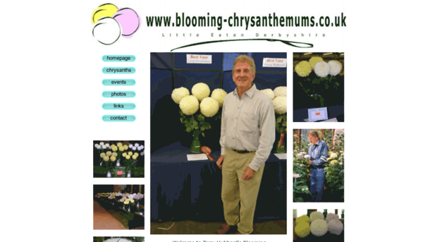 blooming-chrysanthemums.co.uk