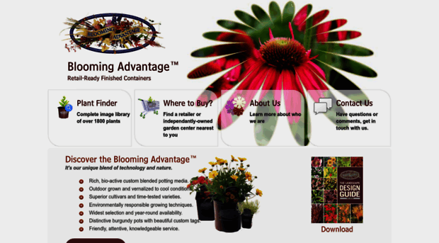 bloomingadvantage.com