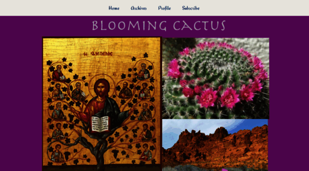 bloomingcactus.typepad.com