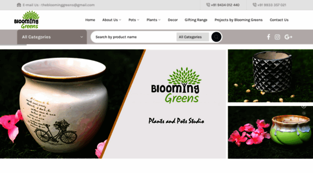 bloominggreens.in