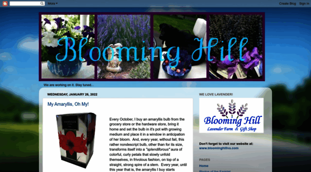 bloominghillva.blogspot.com