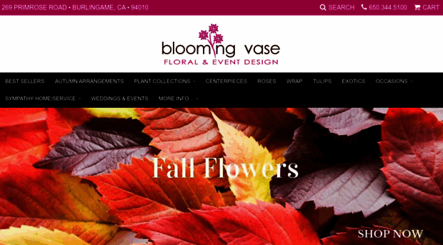 bloomingvase.com