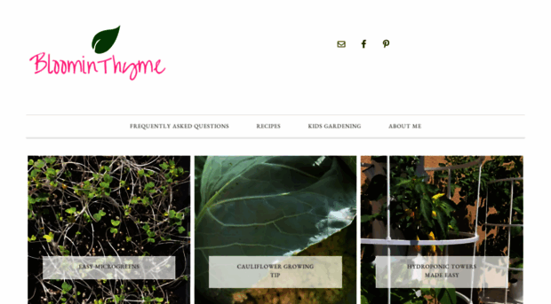 bloominthyme.com