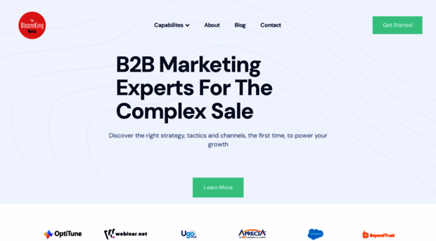 bloomking.com