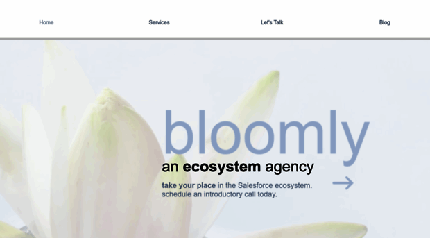 bloomly.agency