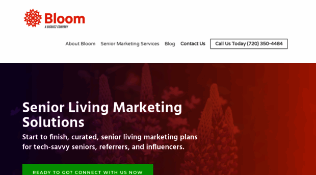 bloommarketinginc.com