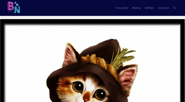 bloomnis.com