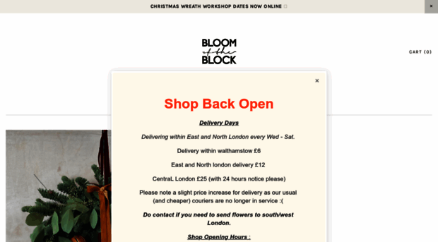 bloomoftheblock.com